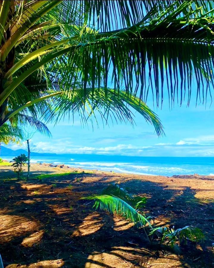 Tortuga Bay Eco Hotel El Valle  エクステリア 写真