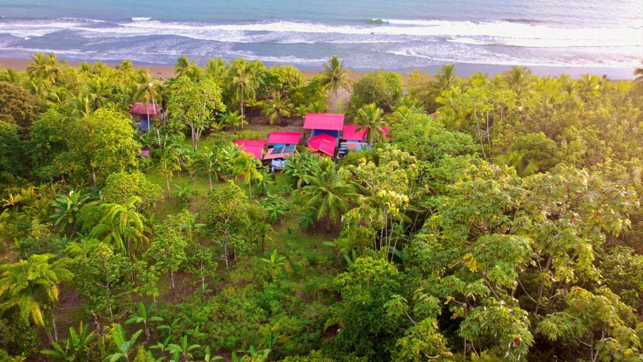 Tortuga Bay Eco Hotel El Valle  エクステリア 写真