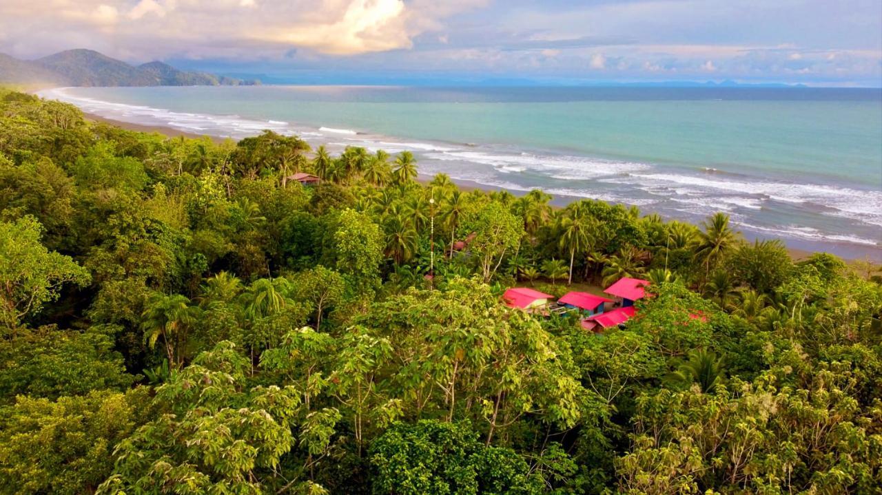 Tortuga Bay Eco Hotel El Valle  エクステリア 写真