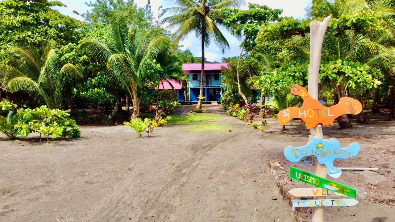 Tortuga Bay Eco Hotel El Valle  エクステリア 写真
