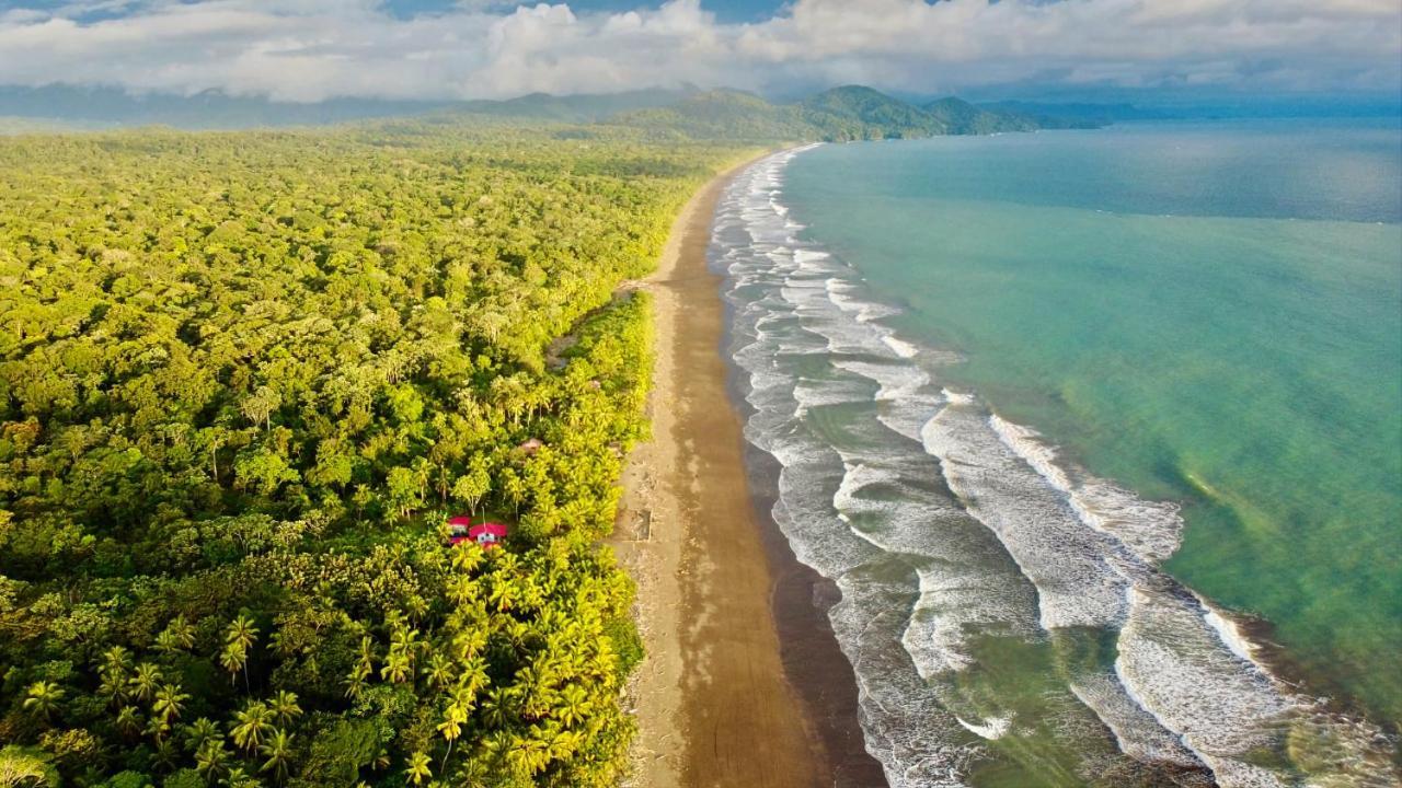 Tortuga Bay Eco Hotel El Valle  エクステリア 写真