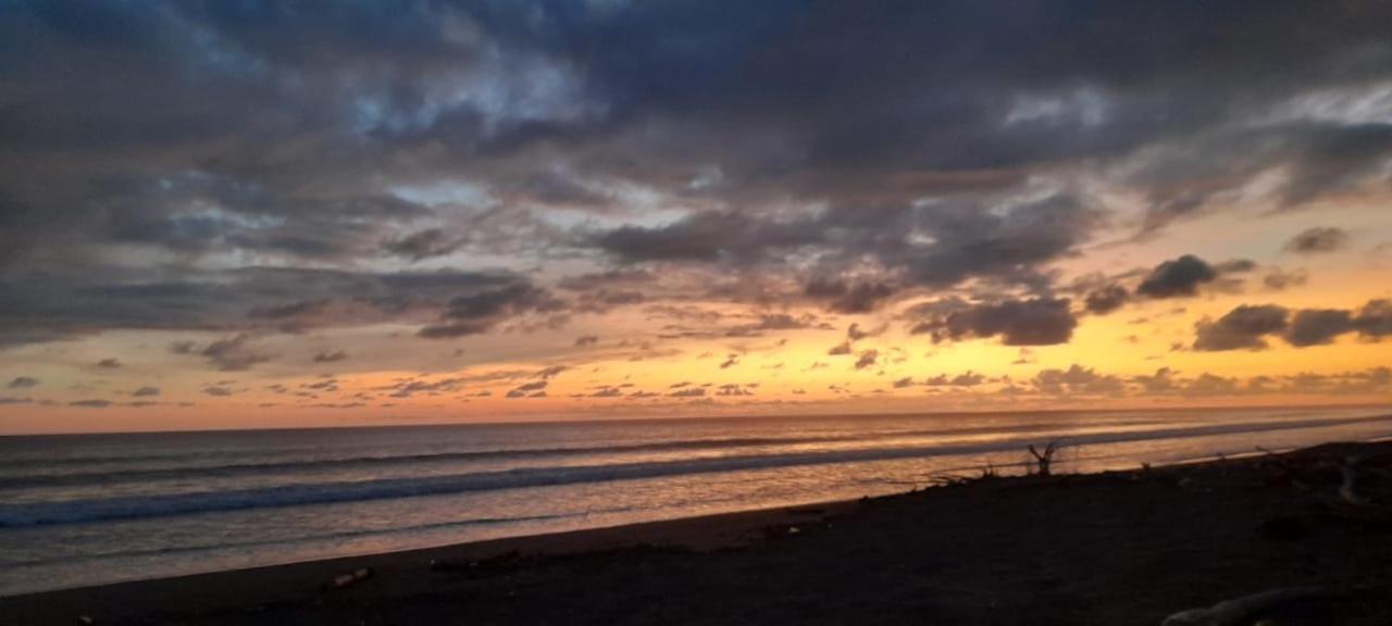 Tortuga Bay Eco Hotel El Valle  エクステリア 写真