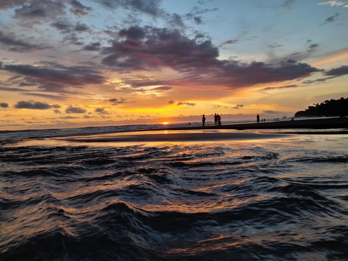 Tortuga Bay Eco Hotel El Valle  エクステリア 写真