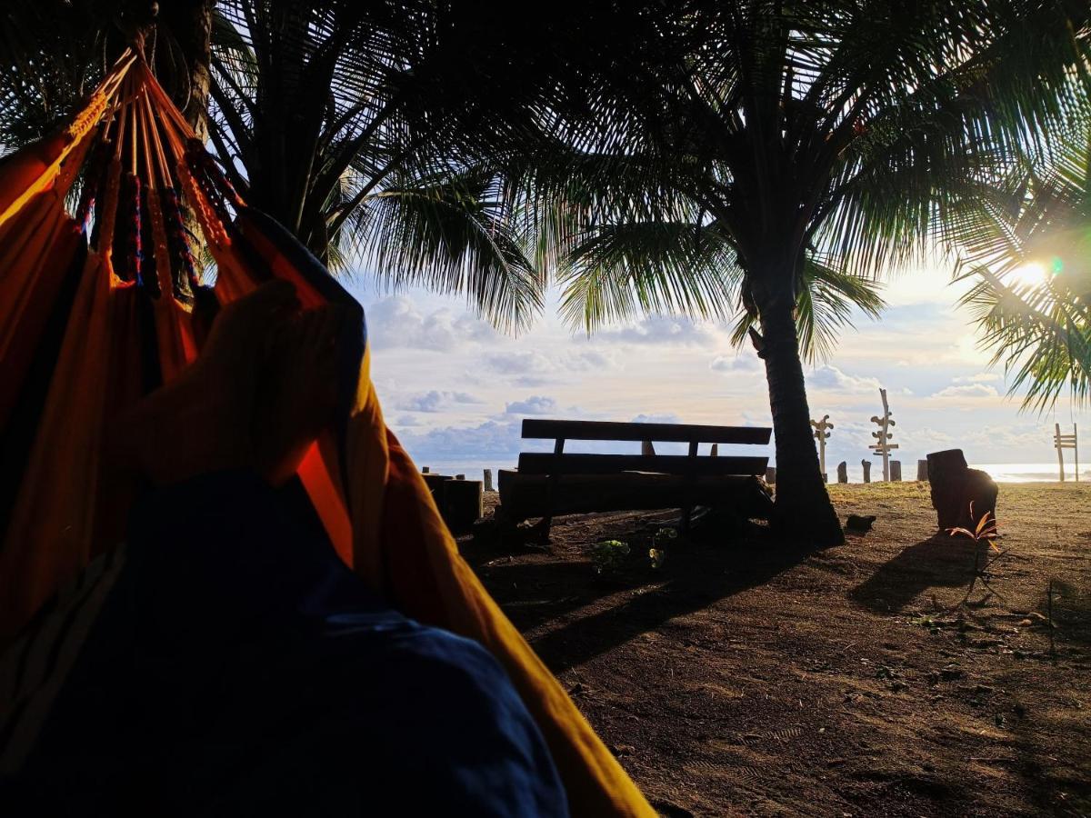 Tortuga Bay Eco Hotel El Valle  エクステリア 写真