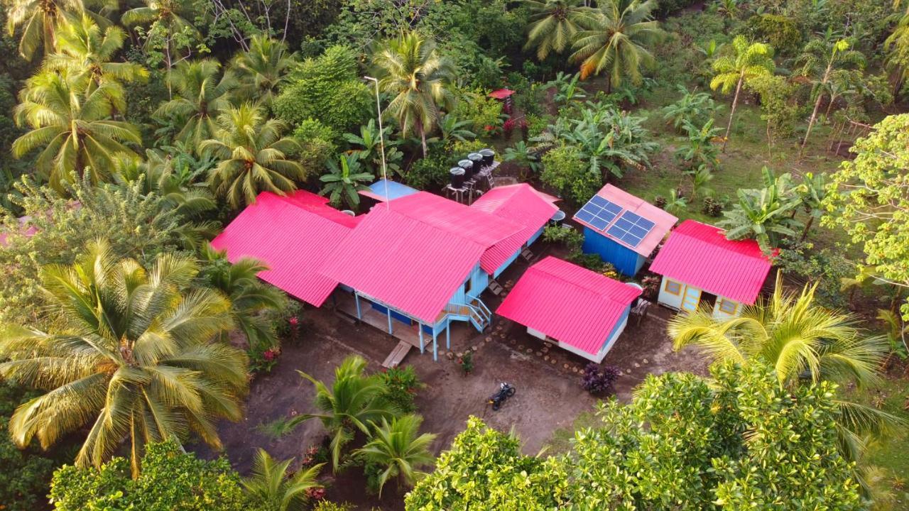 Tortuga Bay Eco Hotel El Valle  エクステリア 写真