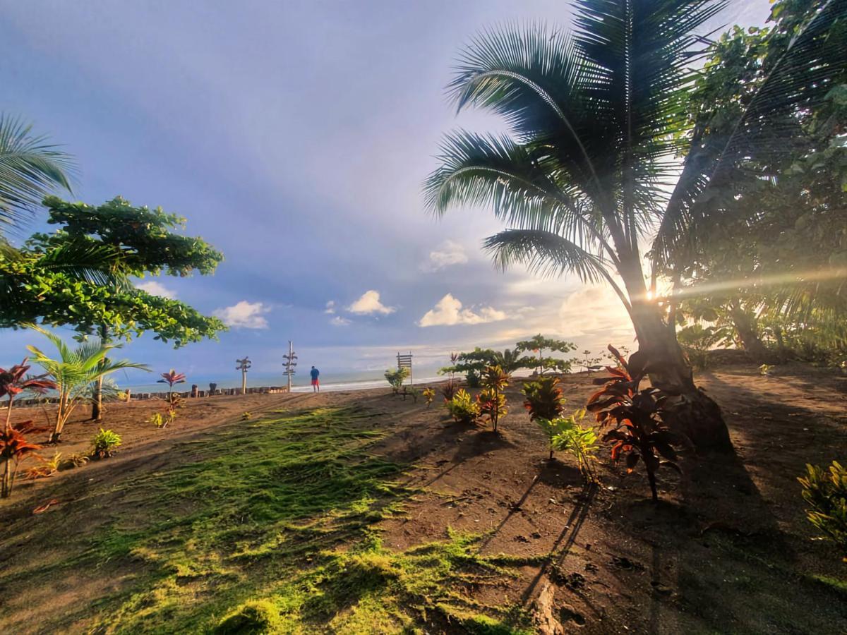 Tortuga Bay Eco Hotel El Valle  エクステリア 写真