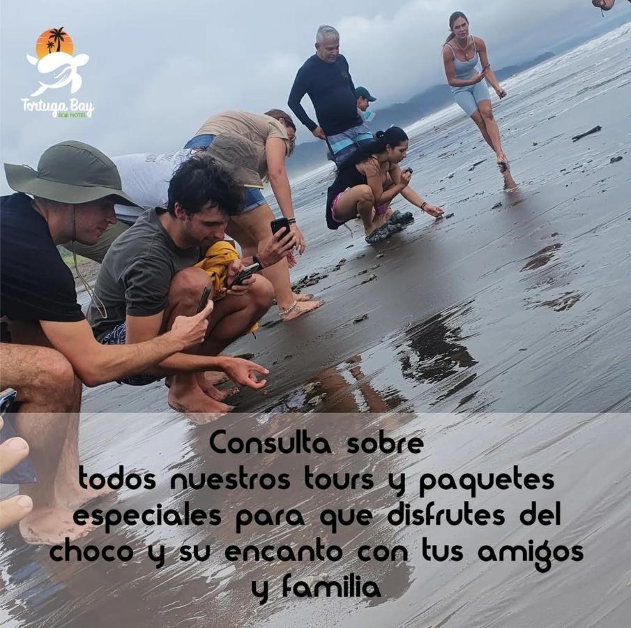Tortuga Bay Eco Hotel El Valle  エクステリア 写真