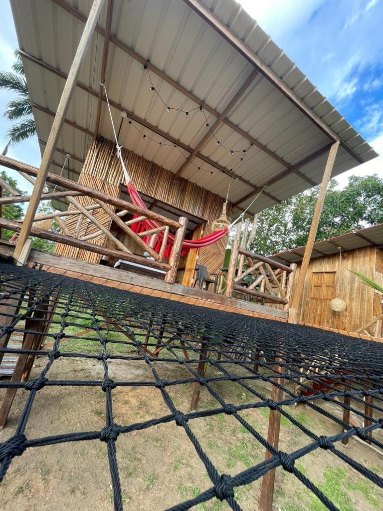 Tortuga Bay Eco Hotel El Valle  エクステリア 写真