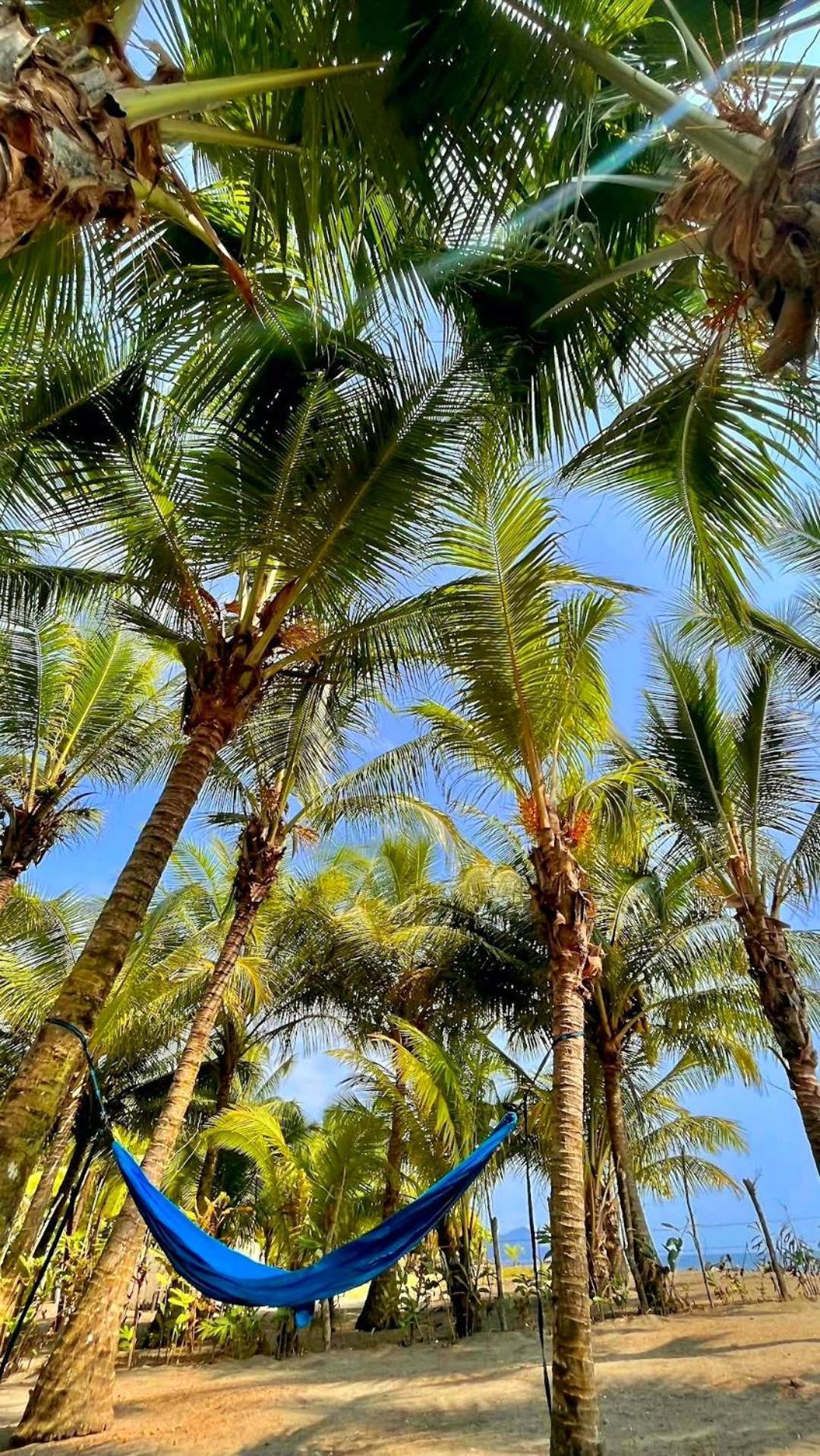 Tortuga Bay Eco Hotel El Valle  エクステリア 写真