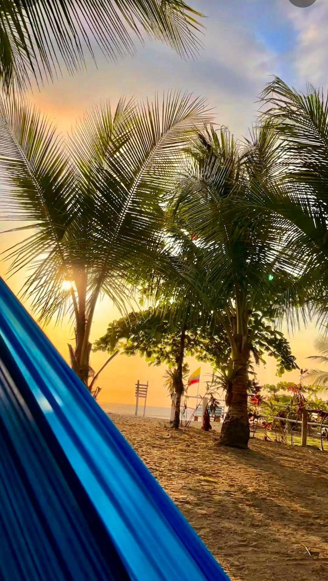 Tortuga Bay Eco Hotel El Valle  エクステリア 写真