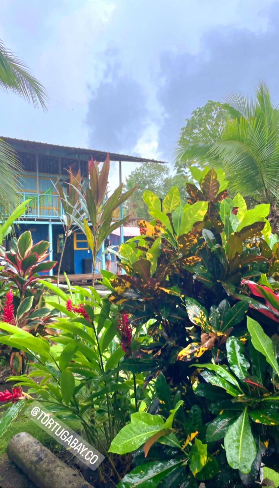Tortuga Bay Eco Hotel El Valle  エクステリア 写真