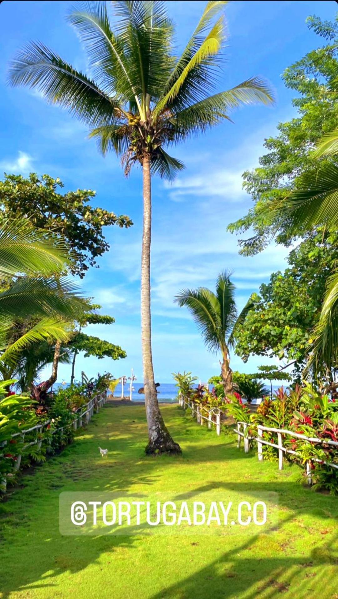 Tortuga Bay Eco Hotel El Valle  エクステリア 写真