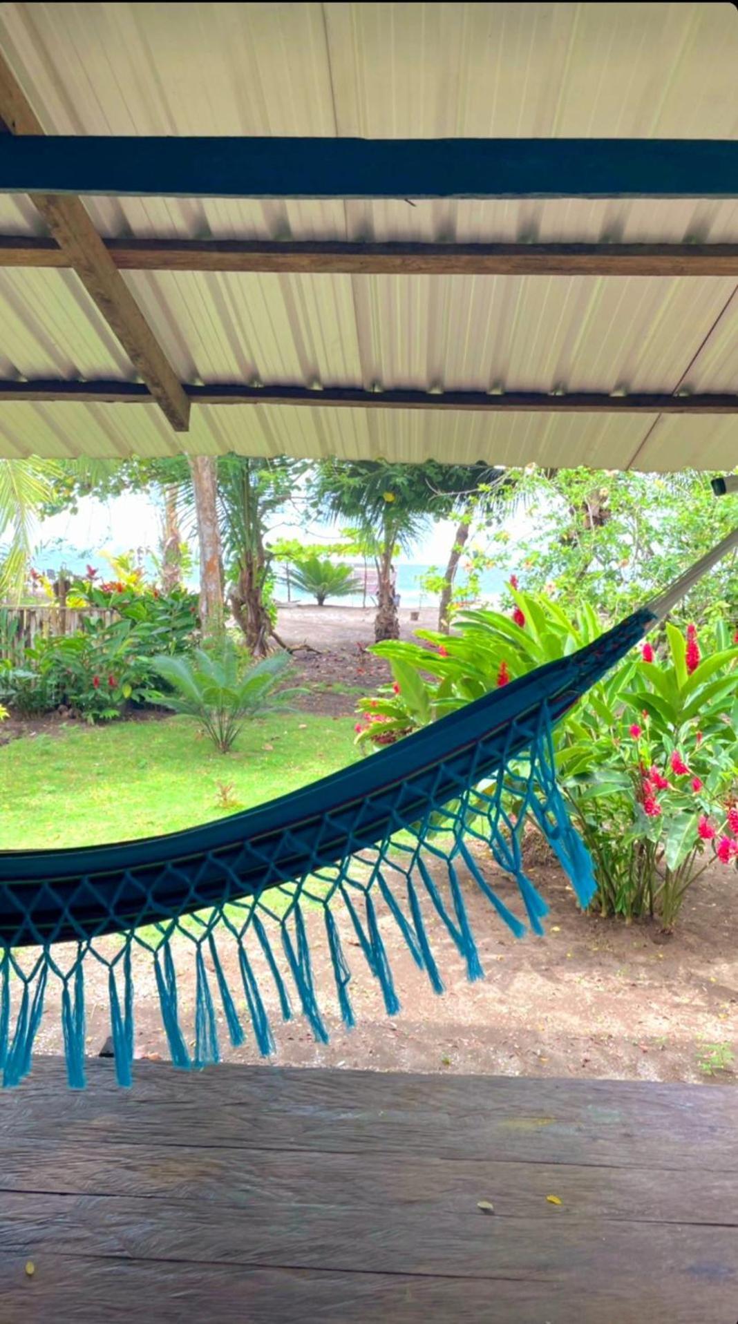 Tortuga Bay Eco Hotel El Valle  エクステリア 写真
