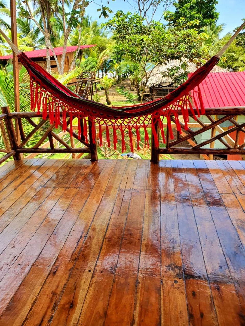 Tortuga Bay Eco Hotel El Valle  エクステリア 写真