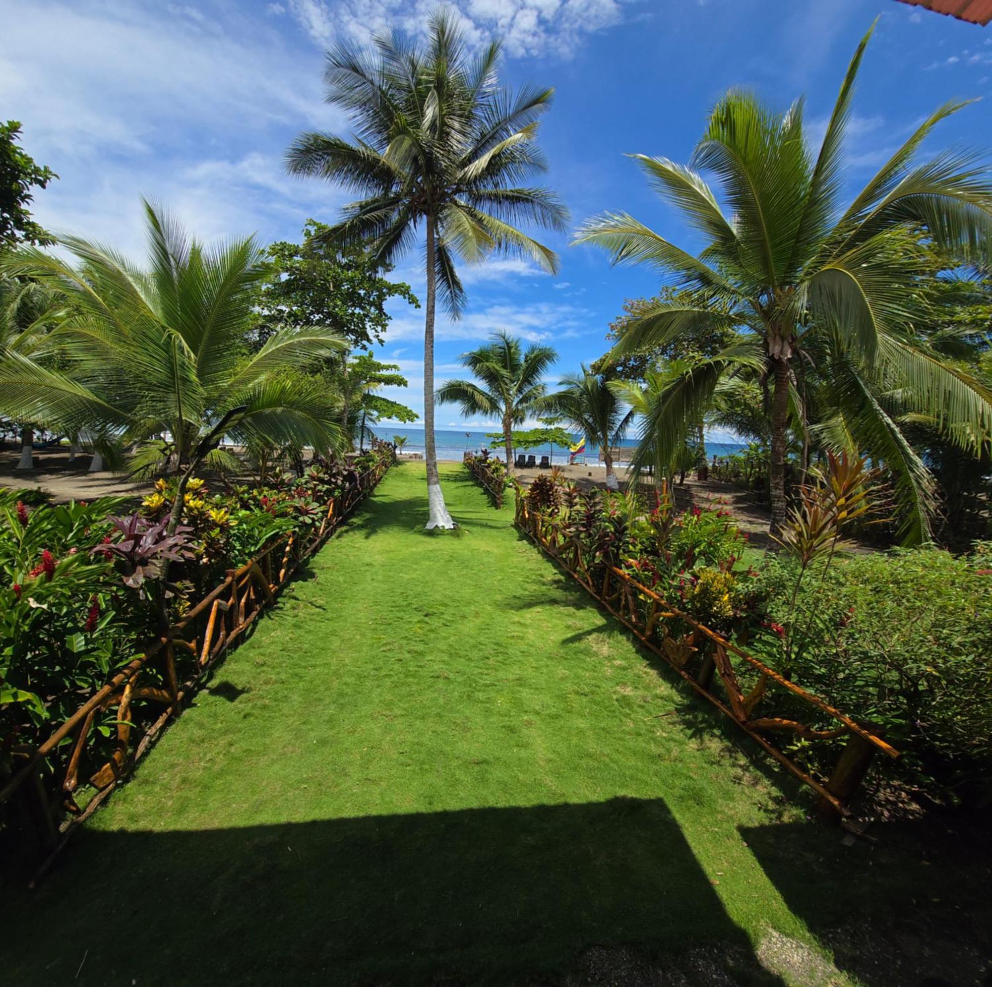Tortuga Bay Eco Hotel El Valle  エクステリア 写真